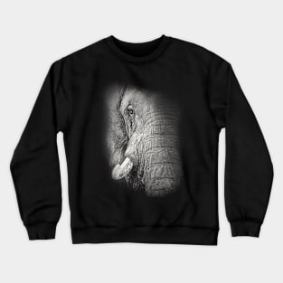 African Elephant Close-up Crewneck Sweatshirt